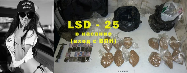 ГАЛЛЮЦИНОГЕННЫЕ ГРИБЫ Бородино