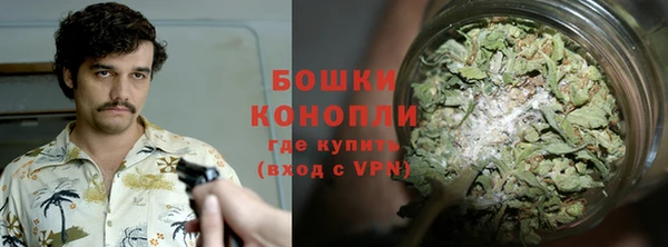 ГАЛЛЮЦИНОГЕННЫЕ ГРИБЫ Бородино