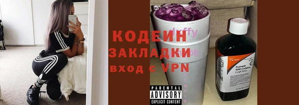 ГАЛЛЮЦИНОГЕННЫЕ ГРИБЫ Бородино