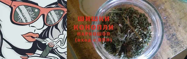 ГАЛЛЮЦИНОГЕННЫЕ ГРИБЫ Бородино