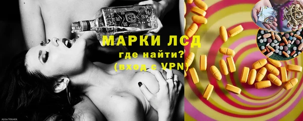 ГАЛЛЮЦИНОГЕННЫЕ ГРИБЫ Бородино