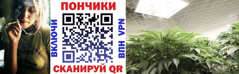 Бошки марихуана OG Kush  дарнет шоп  Наро-Фоминск 